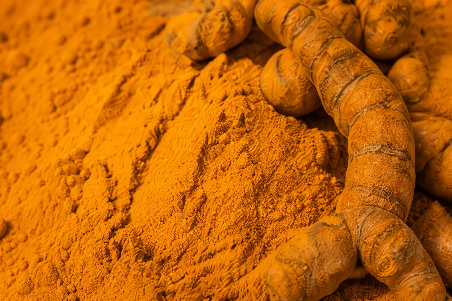 Turmeric Exporter from India